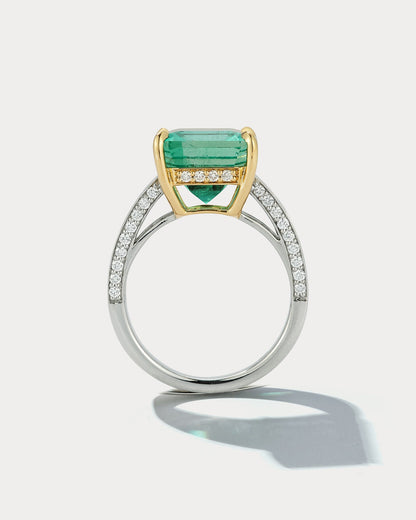 Platinum &amp; 18k YG Channel Ring Set with Colombian Muzo 5.86 Emerald Cut - Ammrada
